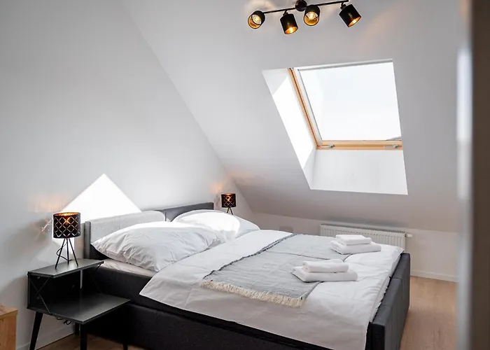 Apartament New Cozy In Heart Of Free Garage Parking