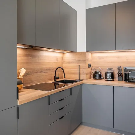 New Cozy In Heart Of Free Garage Parking Lägenhet Bratislava